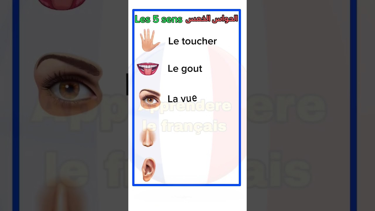 1742178093_maxresdefault