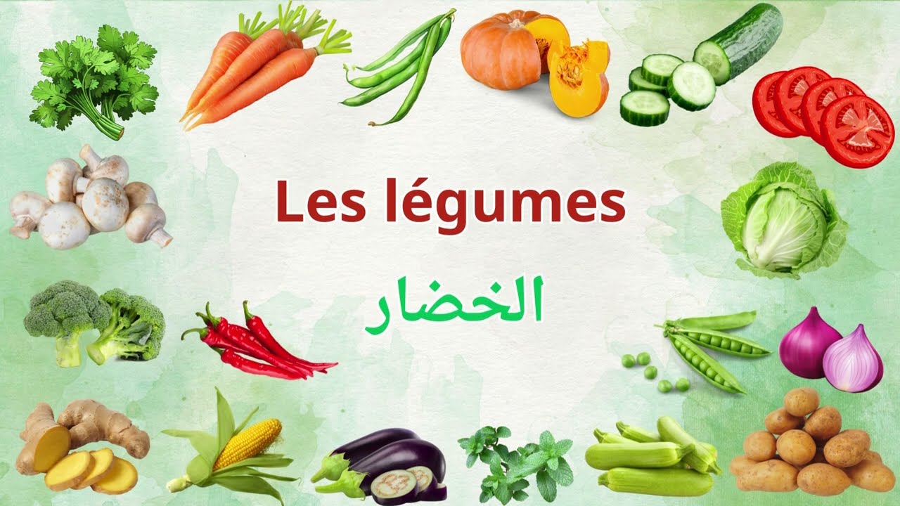 1742290959_maxresdefault