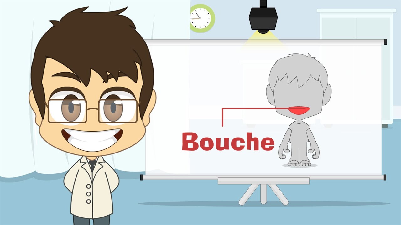 Human Body Parts in French for Kids – أجزاء جسم الإنسان باللغة الفرنسية للأطفال