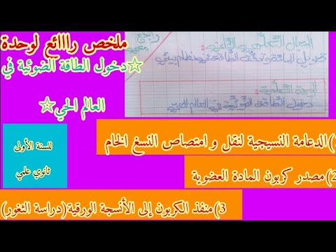 مراجعة شاملة:درس النسغ الخام +درس مصدر كربون المادة العضوية +درس الثغور (شرح مبسط و رائع)