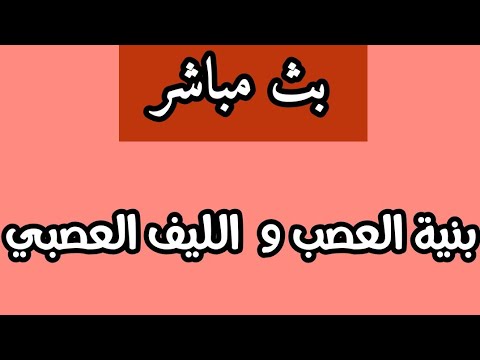 بث مباشر لدرس العلوم:بنية العصب و الليف العصبي