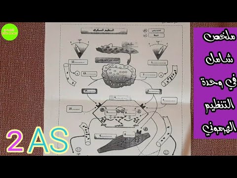 ملخص وحدة التنظيم الهرموني للسنة الثانية ثانوي