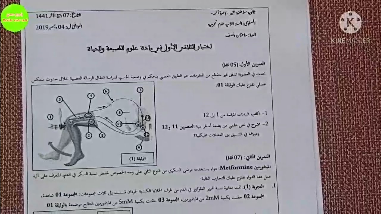 إختبار الفصل الأول في العلوم الطبيعية للسنة الثانية ثانوي