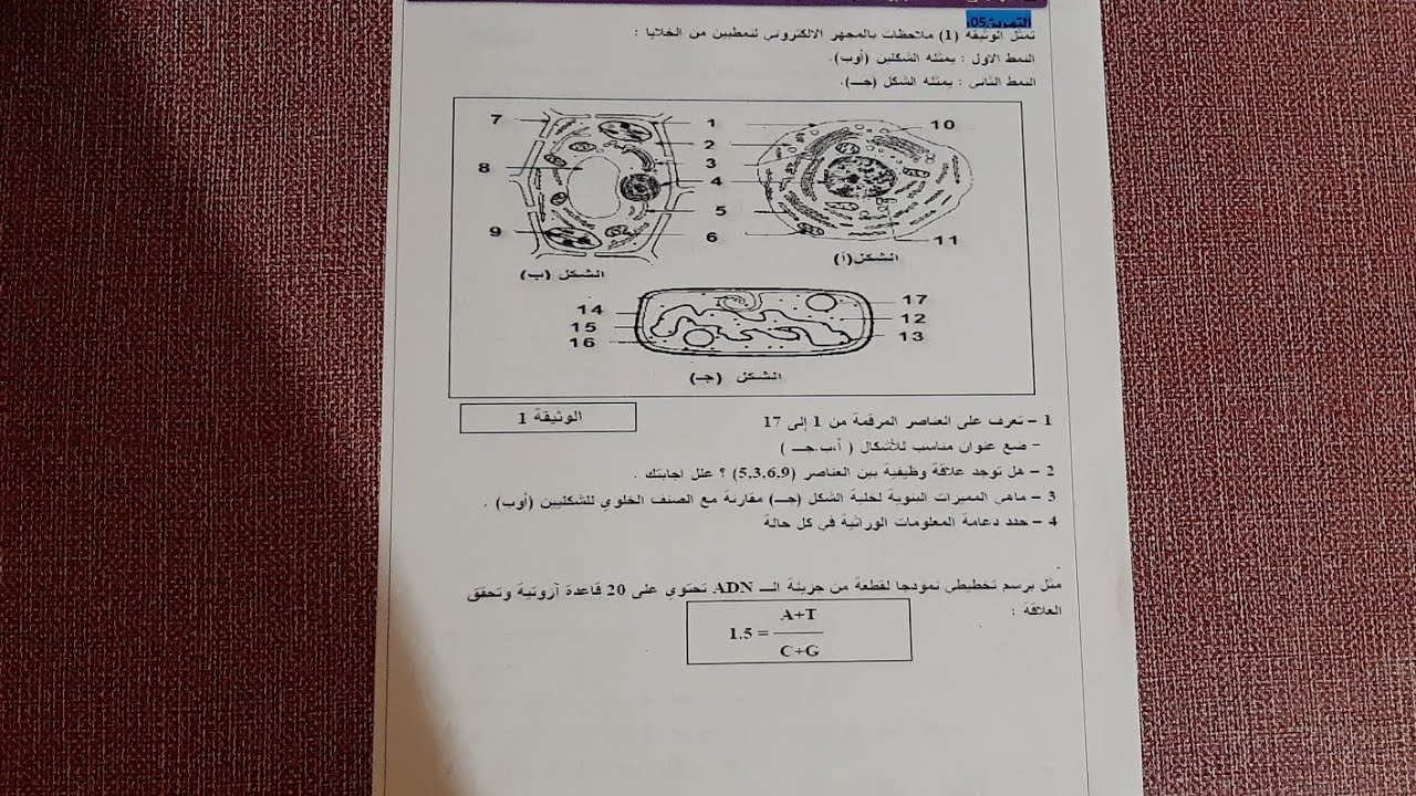فرض الفصل الثاني في العلوم الطبيعية للسنة الثانية ثانوي