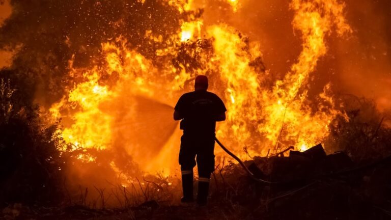 حرائق الغابات فى الجزائر الشقيق