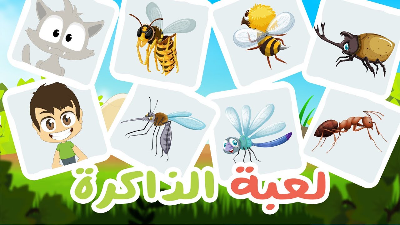 الحشرات للأطفال | لعبة الذاكرة (الحلقة 22) – لعبة البطاقات لكل العائلة – تعلم مع زكريا