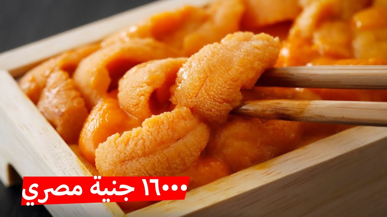 السر ورا السعر الخرافي لـ 3 أكلات بحرية