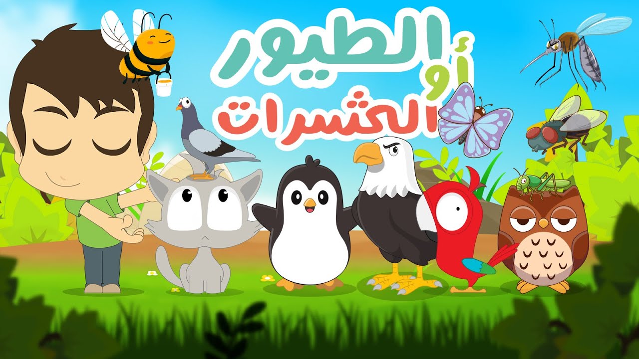 الطيور والحشرات | لعبة ضع الصورة في المكان المناسب الحلقة 5 – تعلم مع زكريا