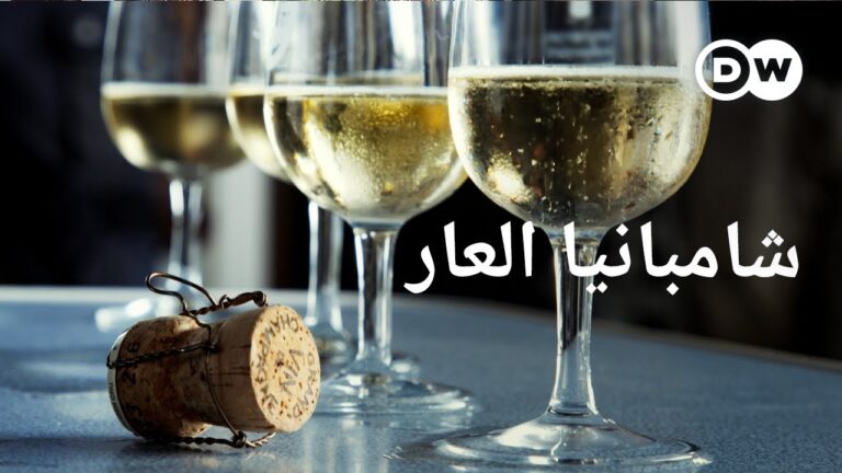 وثائقي | الجانب المظلم لصناعة الشمبانيا – استغلال واستعباد | وثائقية دي دبليو