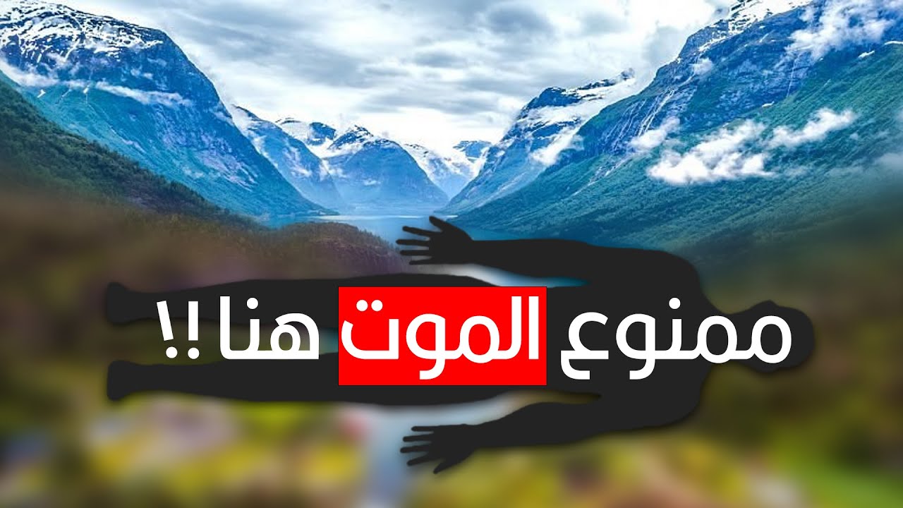 ليه الموت غير قانوني في المدينة دي؟