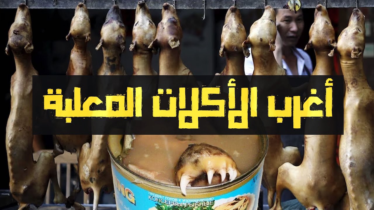 أغرب الأكلات المعلبة حول العالم