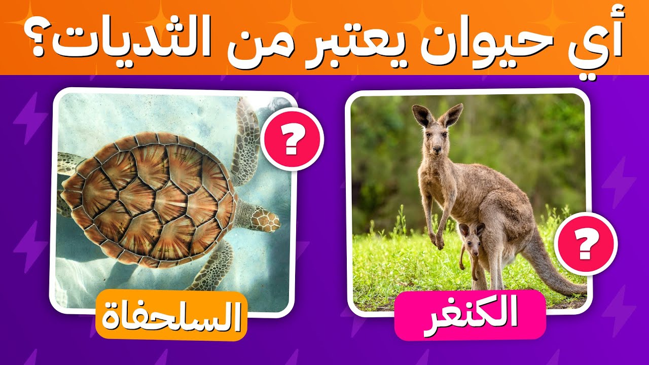 🧠 هل أنت عبقري؟ 🚀🌍 جرب هذا الاختبار المكون من 30 سؤال واكتشف! 😏