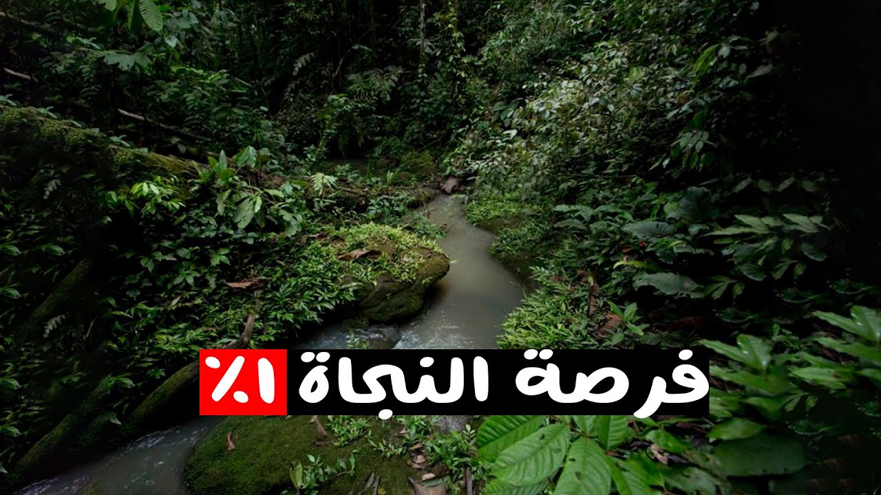 أماكن في الأمازون النجاة منها شبه معدومة