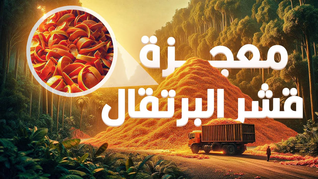 ١٢ ألف طن من قشر البرتقال.