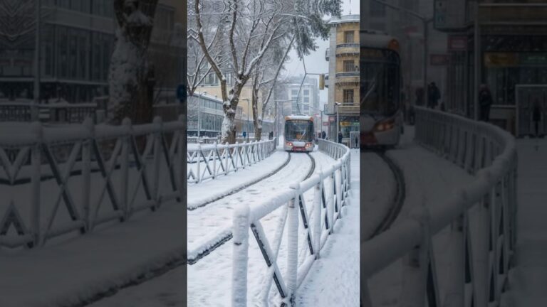 أجواء اوروبية في سطيف 🇩🇿 #سطيف #مراد_صاولي #العش_صاولي