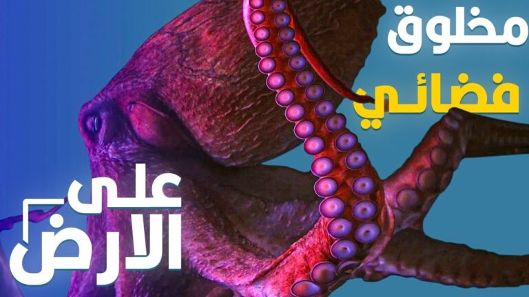مخلوق فضائي عايش على الأرض | الأخطبوط