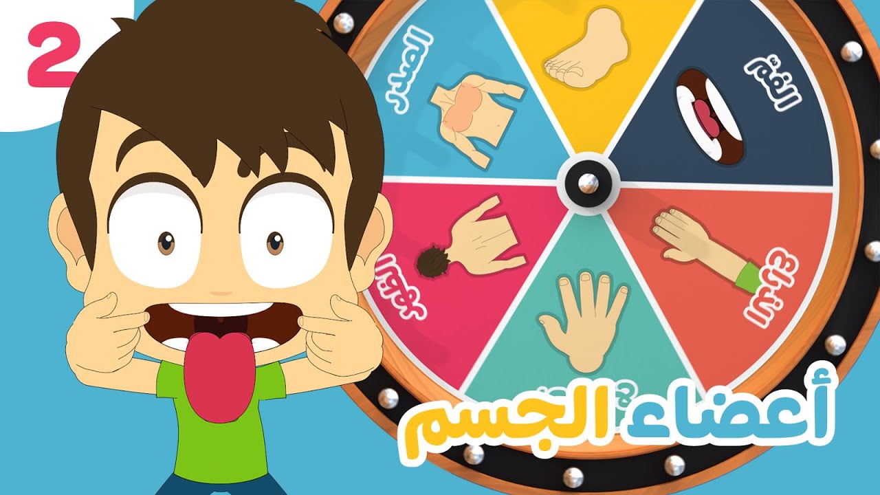 أعضاء الجسم (الجزء ٢) | تعليم أعضاء الجسم باللغة العربية للأطفال مع زكريا و زيكو