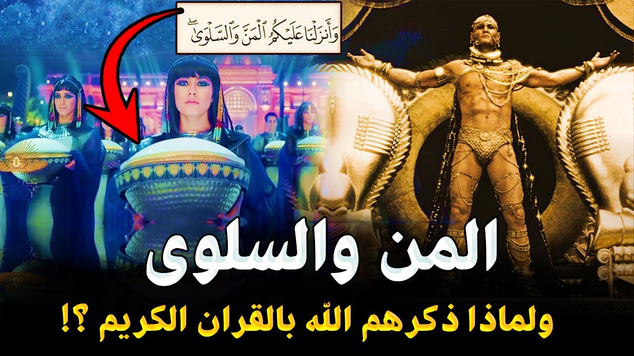 قصص الانبياء | ما هو المن والسلوي ولماذا ذكرهما الله في القران وانزلهم علي سيدنا موسي وهارون خصوصاً