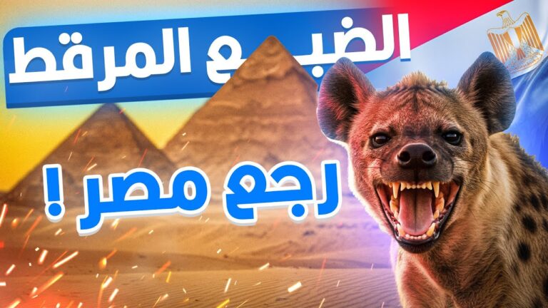 الضبع المرقط ظهر في مصر بعد 5 آلاف سنة