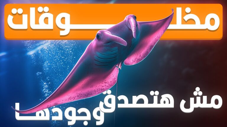 مخلوقات مش هتصدق إنها موجودة