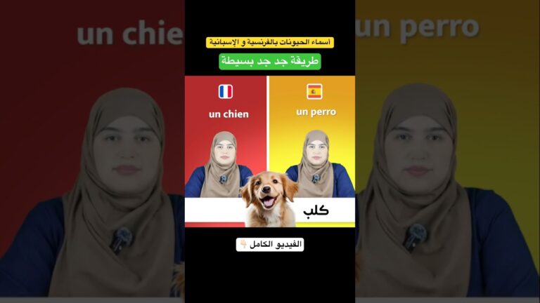 1742089211_maxresdefault